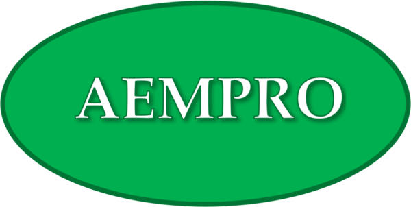 AEMPRO Logo